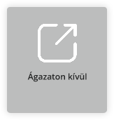 Ágazaton kívüli