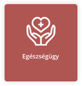 Egészségügy