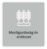 Mezőgazdaság és erdészet