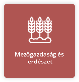 Mezőgazdaság és erdészet